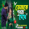 Tomake Prothom Dekhe Eto Valo Legeche - Bangla Lofi