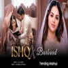 Ishq X Barbaad (Lo-fi) - Mashup